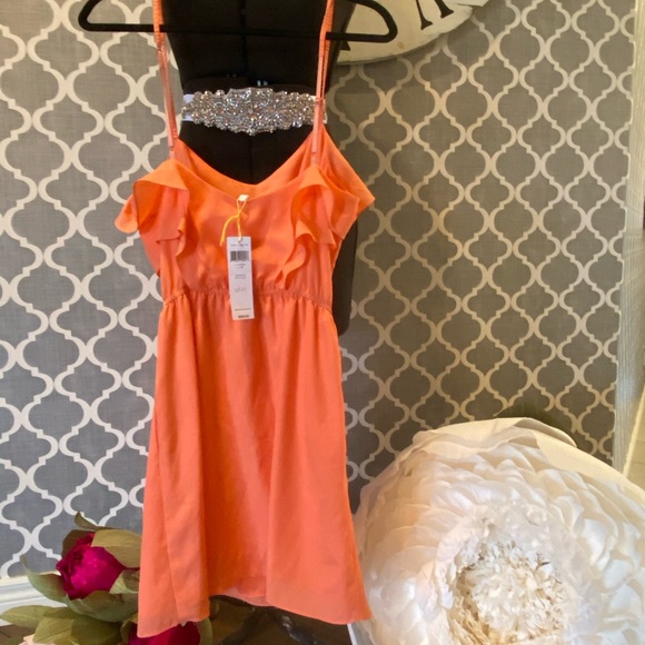 BCBG Summer Dress~Lined~ Brand New - Picture 2 of 4